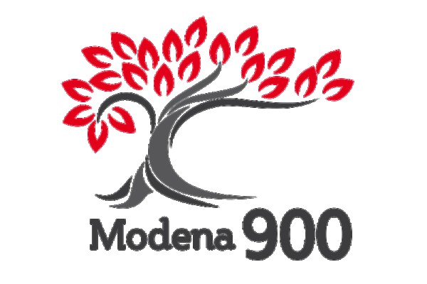 Modena 900
